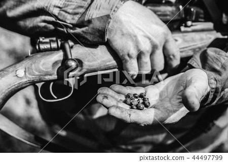 German Soldier Holding Holding A Rifle And Blackberries On Hand. German Soldier Holding Holding A Rifle And Blackberries On Hand. 44497799