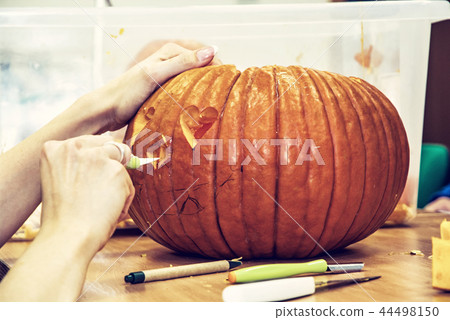 Women's hands who cuts jack-o-lantern with knife Women's hands who cuts jack-o-lantern with knife 44498150