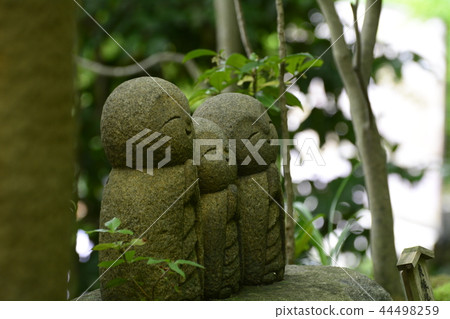 鎌倉長谷寺的好戰地藏 44498259