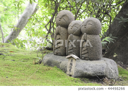 鎌倉長谷寺的好戰地藏 鎌倉長谷寺的好戰地藏 44498266