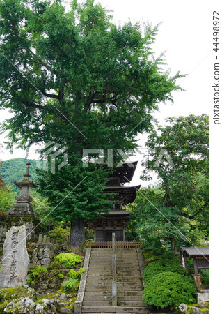 Maeyama Temple (National Important Cultural Property Triple Tower) Maeyama Temple (National Important Cultural Property Triple Tower) 44498972