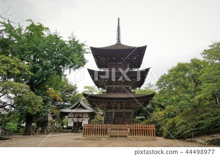 Maeyama寺（國家重要文化財產三塔） 44498977