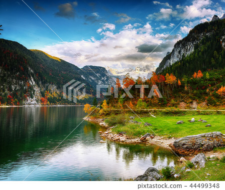 Beautiful view of idyllic colorful autumn scenery Beautiful view of idyllic colorful autumn scenery 44499348