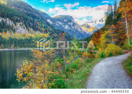 Beautiful view of idyllic colorful autumn scenery Beautiful view of idyllic colorful autumn scenery 44499350