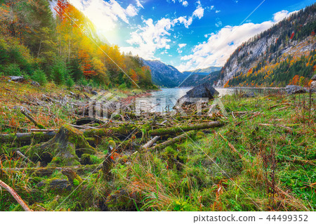 Beautiful view of idyllic colorful autumn scenery Beautiful view of idyllic colorful autumn scenery 44499352
