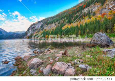 Beautiful view of idyllic colorful autumn scenery Beautiful view of idyllic colorful autumn scenery 44499354