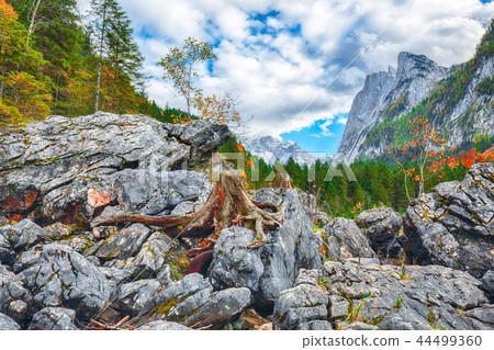 Beautiful view of idyllic colorful autumn scenery Beautiful view of idyllic colorful autumn scenery 44499360