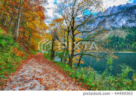 Beautiful view of idyllic colorful autumn scenery Beautiful view of idyllic colorful autumn scenery 44499363