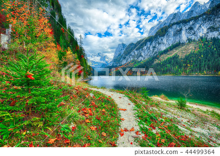 Beautiful view of idyllic colorful autumn scenery Beautiful view of idyllic colorful autumn scenery 44499364