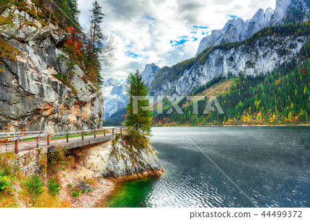 Beautiful view of idyllic colorful autumn scenery Beautiful view of idyllic colorful autumn scenery 44499372