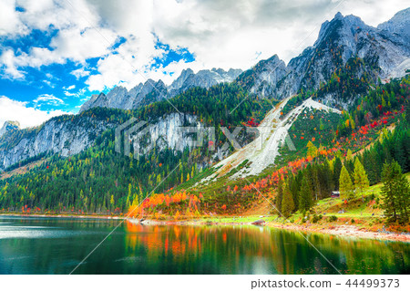 Beautiful view of idyllic colorful autumn scenery Beautiful view of idyllic colorful autumn scenery 44499373