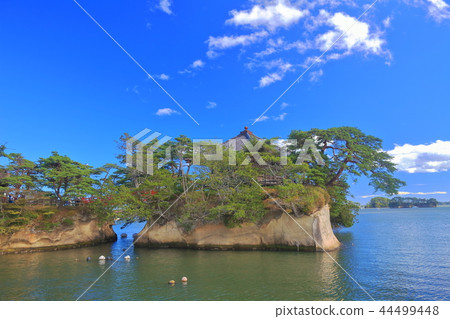 在晴朗的天氣下松島Godaido 44499448