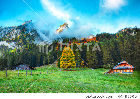 Beautiful view of idyllic colorful autumn scenery Beautiful view of idyllic colorful autumn scenery 44499509