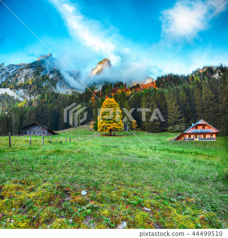 Beautiful view of idyllic colorful autumn scenery Beautiful view of idyllic colorful autumn scenery 44499510