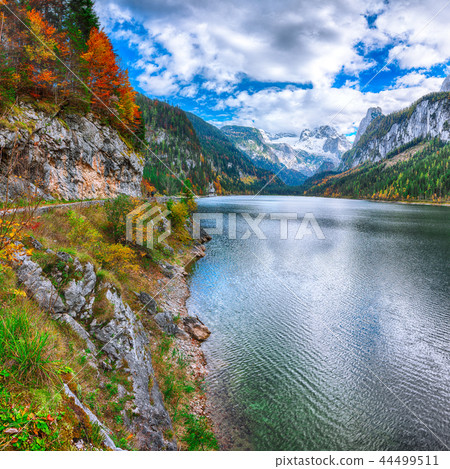 Beautiful view of idyllic colorful autumn scenery Beautiful view of idyllic colorful autumn scenery 44499511