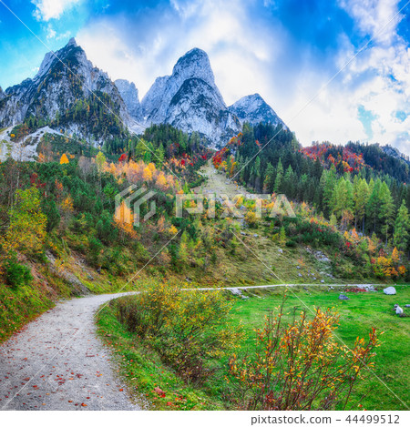 Beautiful view of idyllic colorful autumn scenery 44499512