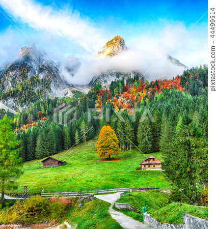 Beautiful view of idyllic colorful autumn scenery 44499514