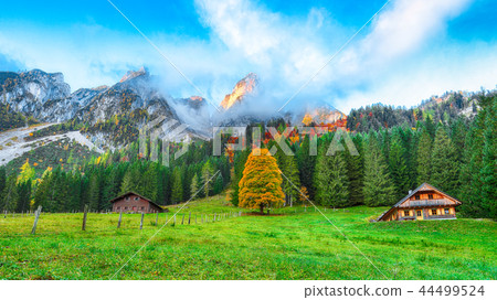 Beautiful view of idyllic colorful autumn scenery Beautiful view of idyllic colorful autumn scenery 44499524