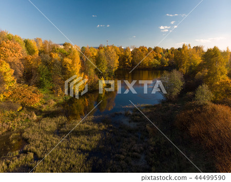 Nizhny Kamensky pond in autumn in Zelenograd administrative district in Moscow. Russia 44499590