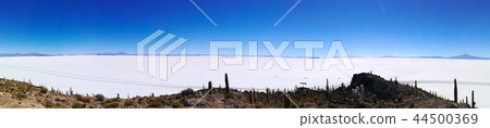 Salar de Uyuni view from Isla Incahuasi Salar de Uyuni view from Isla Incahuasi 44500369