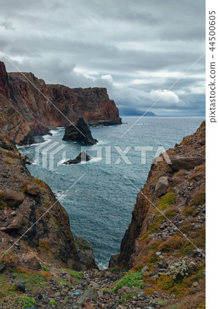 Dramatic moody Madeira landscape with copy space 44500605