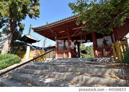 Fukusera Namdaemun 44500653