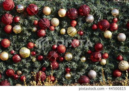 Christmas tree Christmas tree 44500815