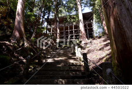 Murouji Temple Okunoin 44501022