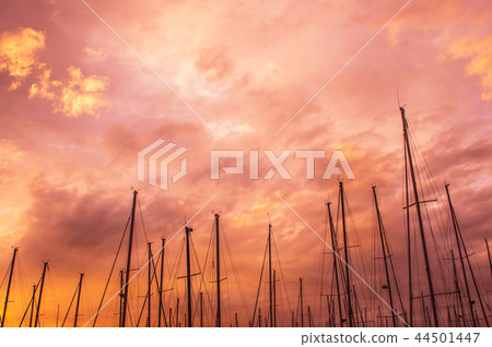 Pink evening in marina, masts in the sky 44501447