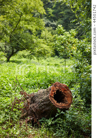 Gimpo Jangryung, Gimpo, Gyeonggi-do 44501742