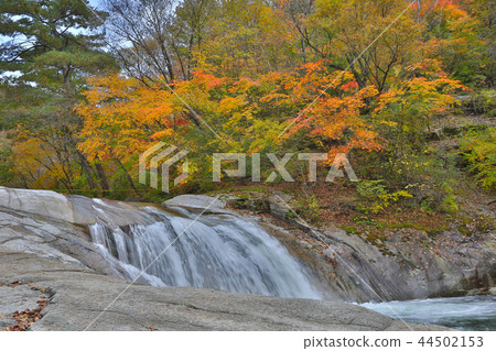 秋葉谷峽谷瀑布風景 44502153