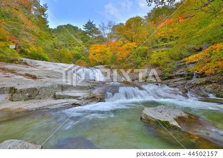 Autumn Leaves Valley Gorge Waterfall Scenery Autumn Leaves Valley Gorge Waterfall Scenery 44502157