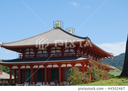 Kofu-ji Kanno 44502467