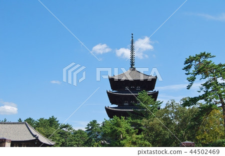 Kofuku-ji Temple 44502469