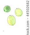 檸檬 44502682
