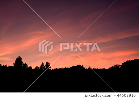 Sunset of Kurosawa wetlands Sunset of Kurosawa wetlands 44502916