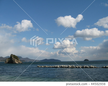 冬天的海 冬天的海 44502938