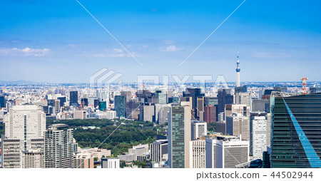 Tokyo Sky Tree and Urban Landscape Tokyo Sky Tree and Urban Landscape 44502944