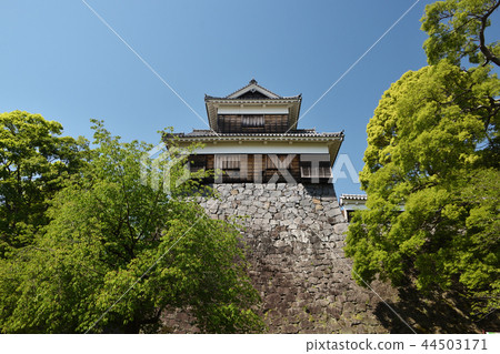 熊本城三心八倉 44503171