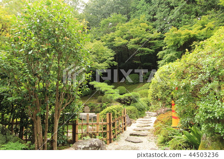 Matsudaira Toshogu Shrine Matsudaira Township豐田市 Matsudaira Toshogu Shrine Matsudaira Township豐田市 44503236