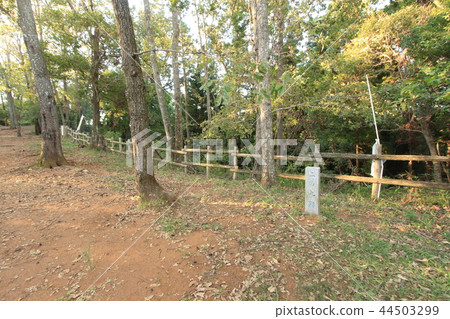 Akechi城堡 Akechi城堡 44503299