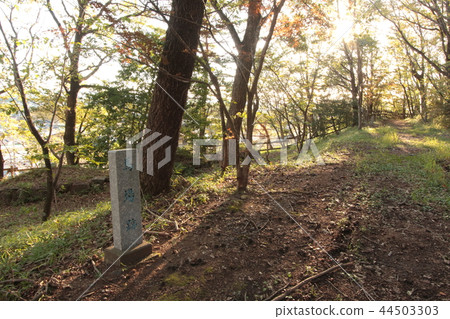 Akechi城堡 Akechi城堡 44503303