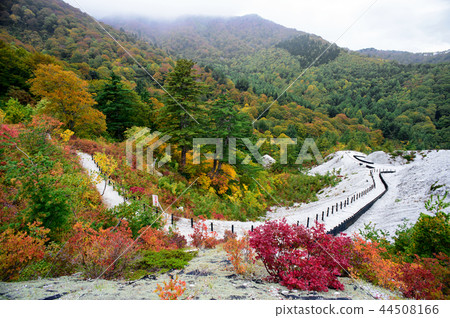 Kawahara Hare地獄秋田 44508166