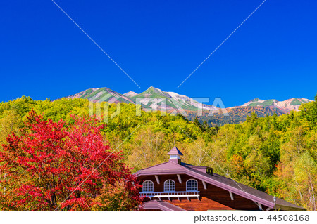 （長野縣）秋季Norikura Kogen Ichinosese地面 44508168