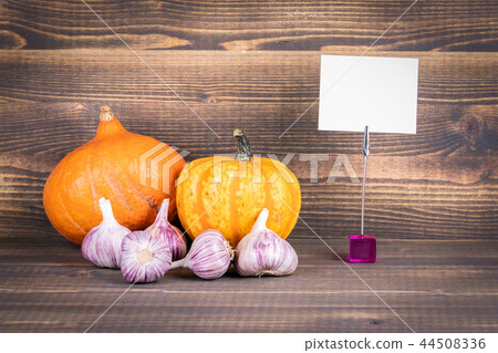 Free space for informative and marketing text on white sheet of paper Free space for informative and marketing text on white sheet of paper 44508336
