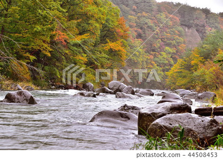 Kinomatagawa Kinomatagawa 44508453