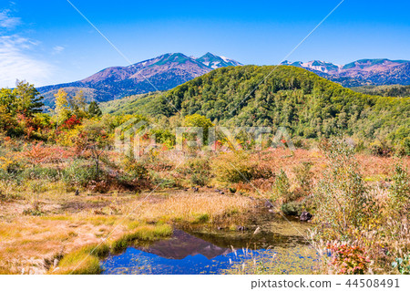 （長野縣）Norikura Kogen在秋天 44508491