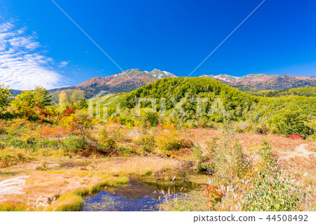 （長野縣）Norikura Kogen在秋天 44508492