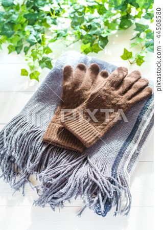 Muffler and glove 44508580
