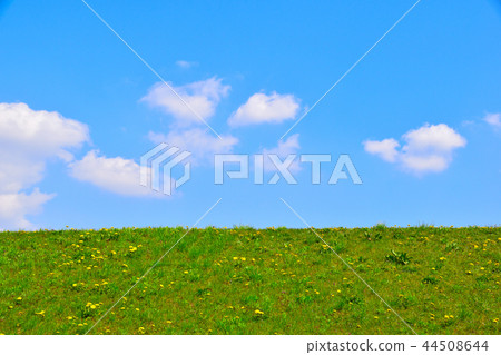 Spring dandelion hill Spring dandelion hill 44508644
